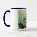 Recherche de invertébré tasses Insecte