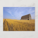 Recherche de margaret cartes postales Nature