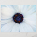 Recherche de fleurs vertes prospectus Botanique