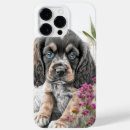 Recherche de chien cocker coques Mignon