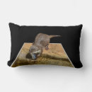 Recherche de loutres coussins Mignon