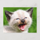 Recherche de drôle de dentiste cartes postales Mignon