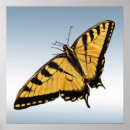 Recherche de machaon de tigre art Faune