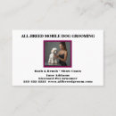 Recherche de dog walker cartes visite Assise