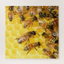 Recherche de reine abeilles puzzles Apiculture