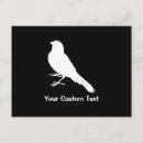 Recherche de canard jaune cartes postales Animaux domestiques