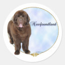Recherche de terre neuve chien autocollants Dog