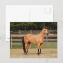 Recherche de seau cartes postales Animal