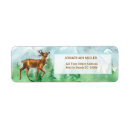 Recherche de whitetail Montagnes
