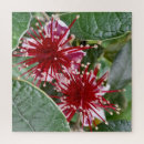 Recherche de fleurs rouges puzzles Pour eux
