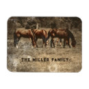 Recherche de équin magnets Animal de ferme