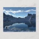 Recherche de pingouin arctique cartes postales Froid