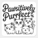 Recherche de sans but lucratif Chat
