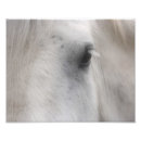 Recherche de blanc oeil Visage