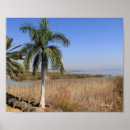 Recherche de galillee posters Imprimer