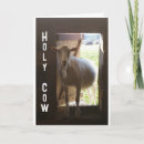 Recherche de photo chèvre drôle Famille