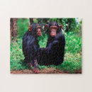 Recherche de chimpanzé puzzles Mignon