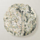 Recherche de récif coussins Océan