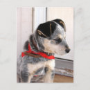 Recherche de shepard posters Mignon