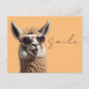 Recherche de lunettes soleil postales cartes postales Moderne