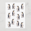 Recherche de pingouins mignons cartes postales Manchot