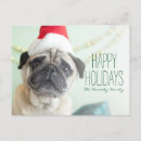 Recherche de noel cartes postales Animaux domestiques