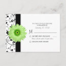 Recherche de marguerite africaine invitations Marguerie