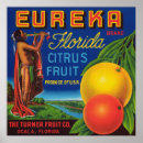 Recherche de caisse orange art Fruit