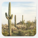 Recherche de saguaro autocollants Les etats unis
