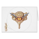 Recherche de nerfs cartes postales Détail