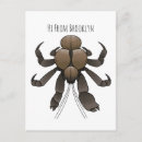 Recherche de illustration de crabe cartes postales Pour tous