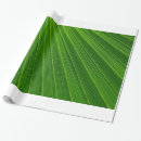 Recherche de palmier papier cadeau Feuille