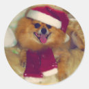 Recherche de chien de père noël autocollants Xmas