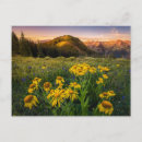 Recherche de crested butte postcards cartes postales Nature