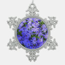 Recherche de fleur marguerite ornements Toute personne