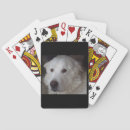 Recherche de grand chien jeux de cartes Pour tous