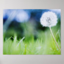 Recherche de tranquille photographie Fraîcheur