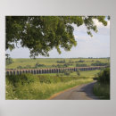 Recherche de route rurale posters Nature