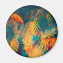 Recherche de coquillage magnets Coquillages de plage