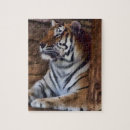 Recherche de tiger puzzles Zoo