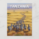 Recherche de zebra cartes postales Travel