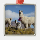 Recherche de lama ornements Andes