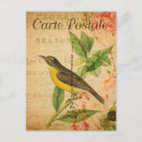 Recherche de animaux vintage cartes postales Oiseau