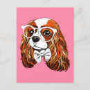 Recherche de animaux habillés cartes postales Chiot