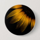 Recherche de tournesol badges Photographie