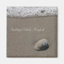 Recherche de coquille de plage magnets Palourde