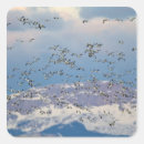 Recherche de oiseau migrateur autocollants Oie