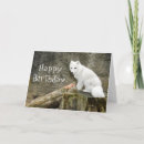 Recherche de loup arctique vœux cartes Nature