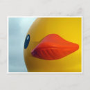 Recherche de canard en caoutchouc cartes postales Baignoire