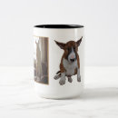 Recherche de bull terrier anglais tasses Taureau